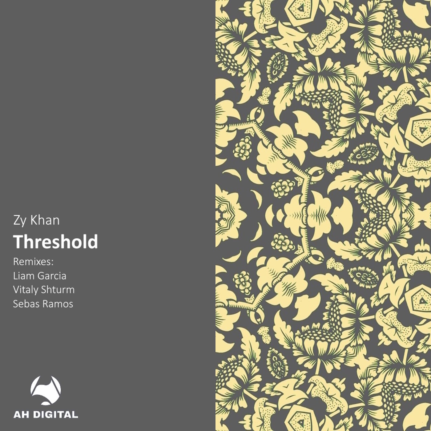Cover - Zy Khan - Threshold (Vitaly Shturm Remix)