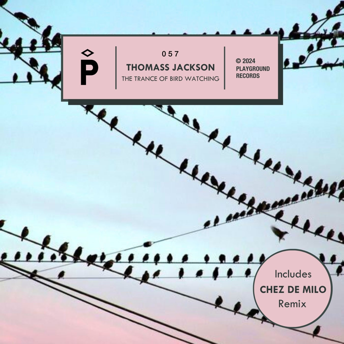 Cover - Thomass Jackson - The Trance Of Bird Watching (Chez de Milo Remix)