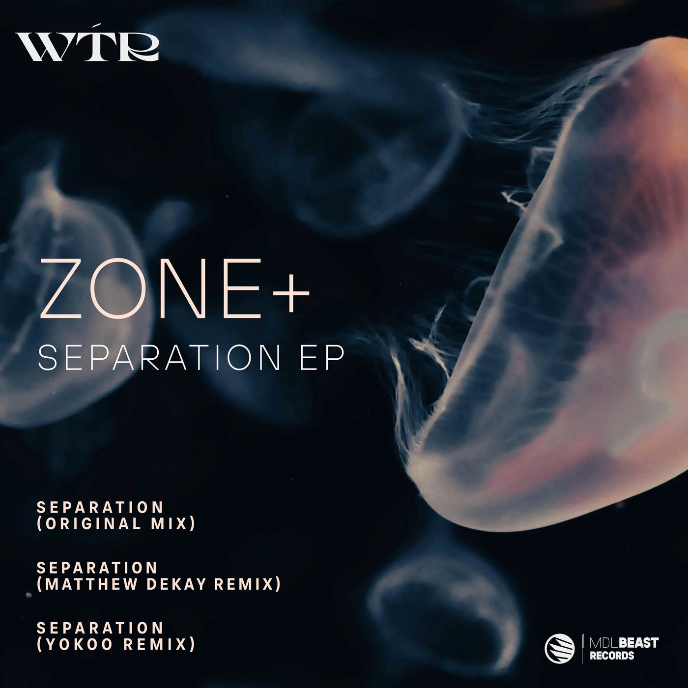 Cover - Zone+ - Separation (Matthew Dekay Remix)