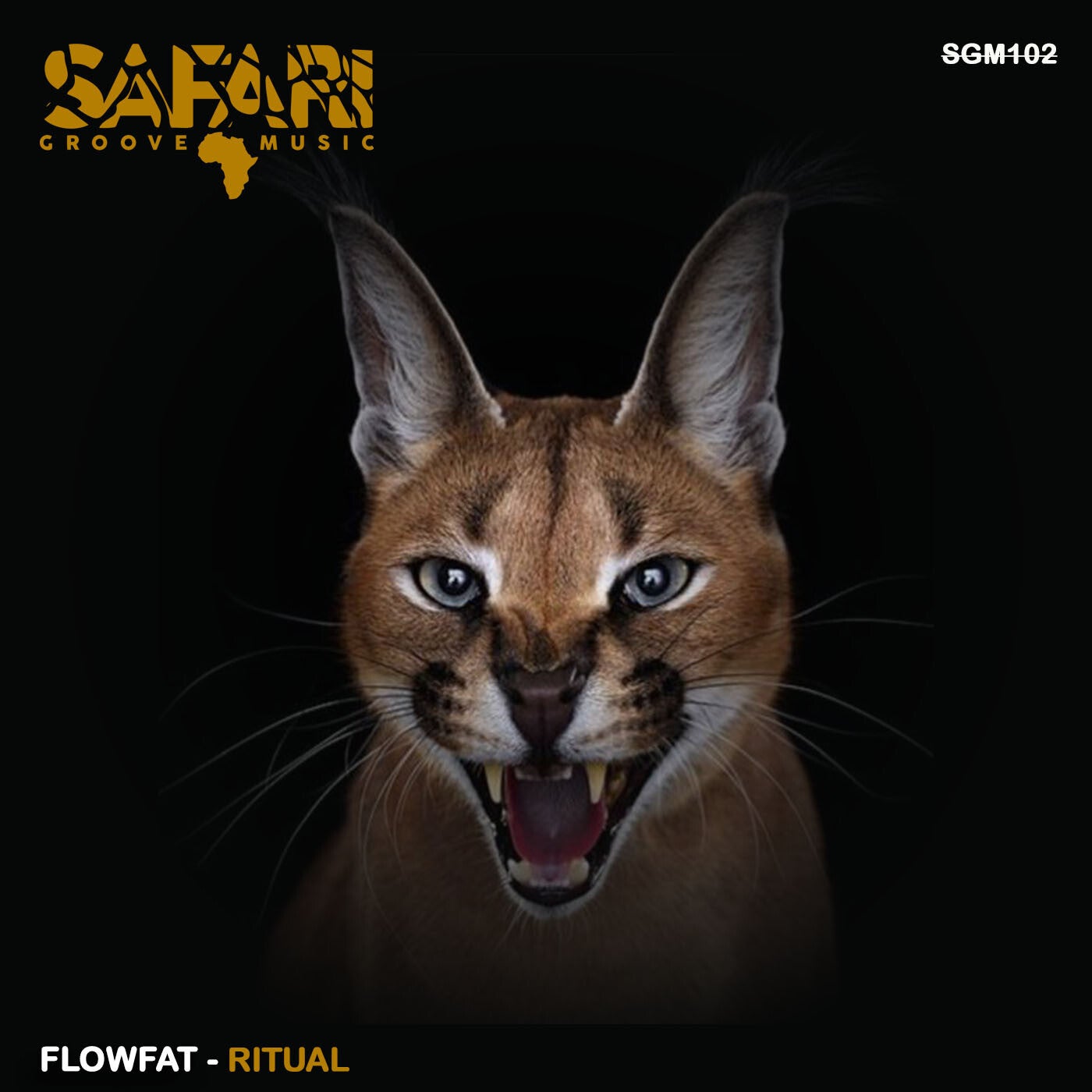 Cover - FLOWFAT - Ritual (Original Mix)