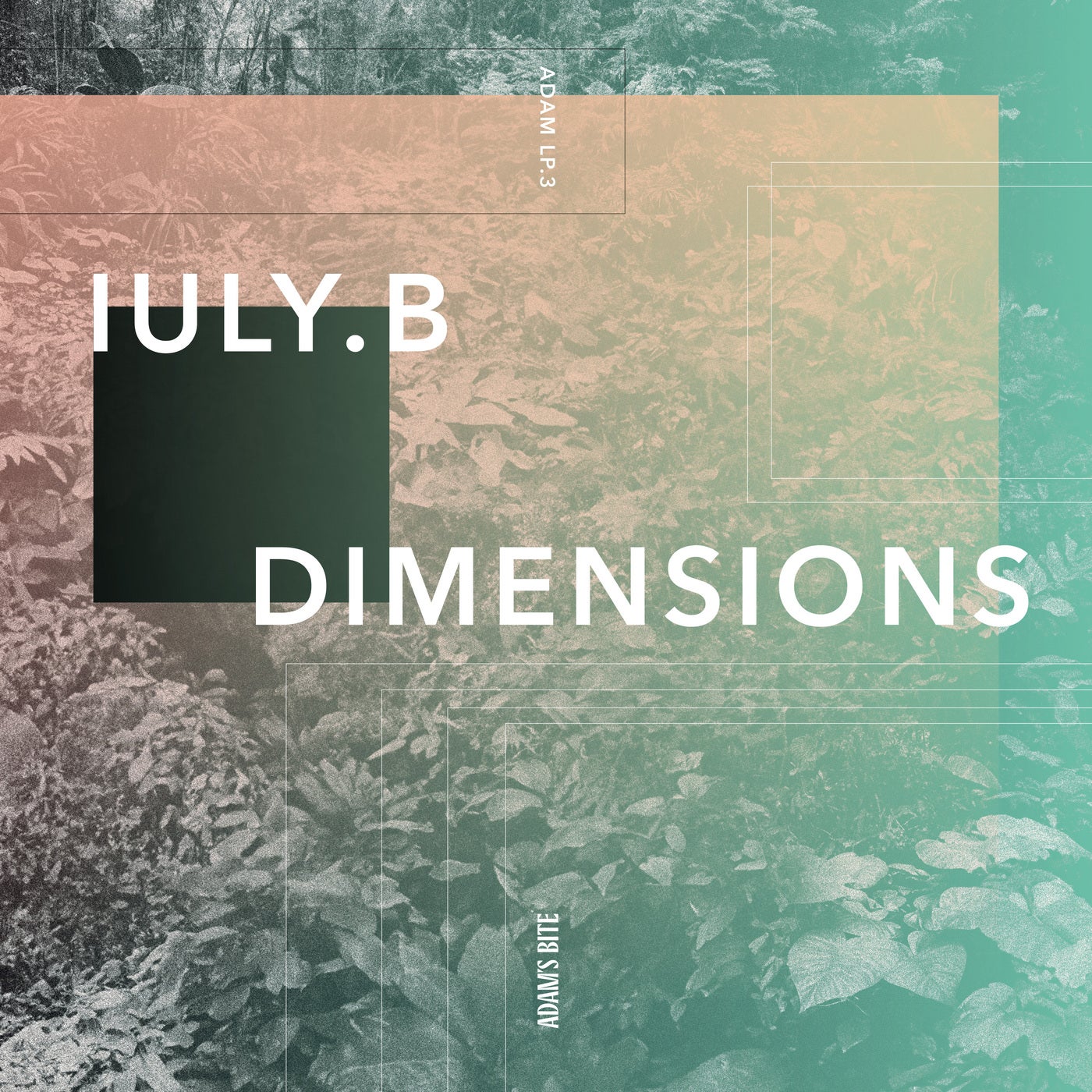 Cover - IULY.B - Variations Newmix (Original Mix)