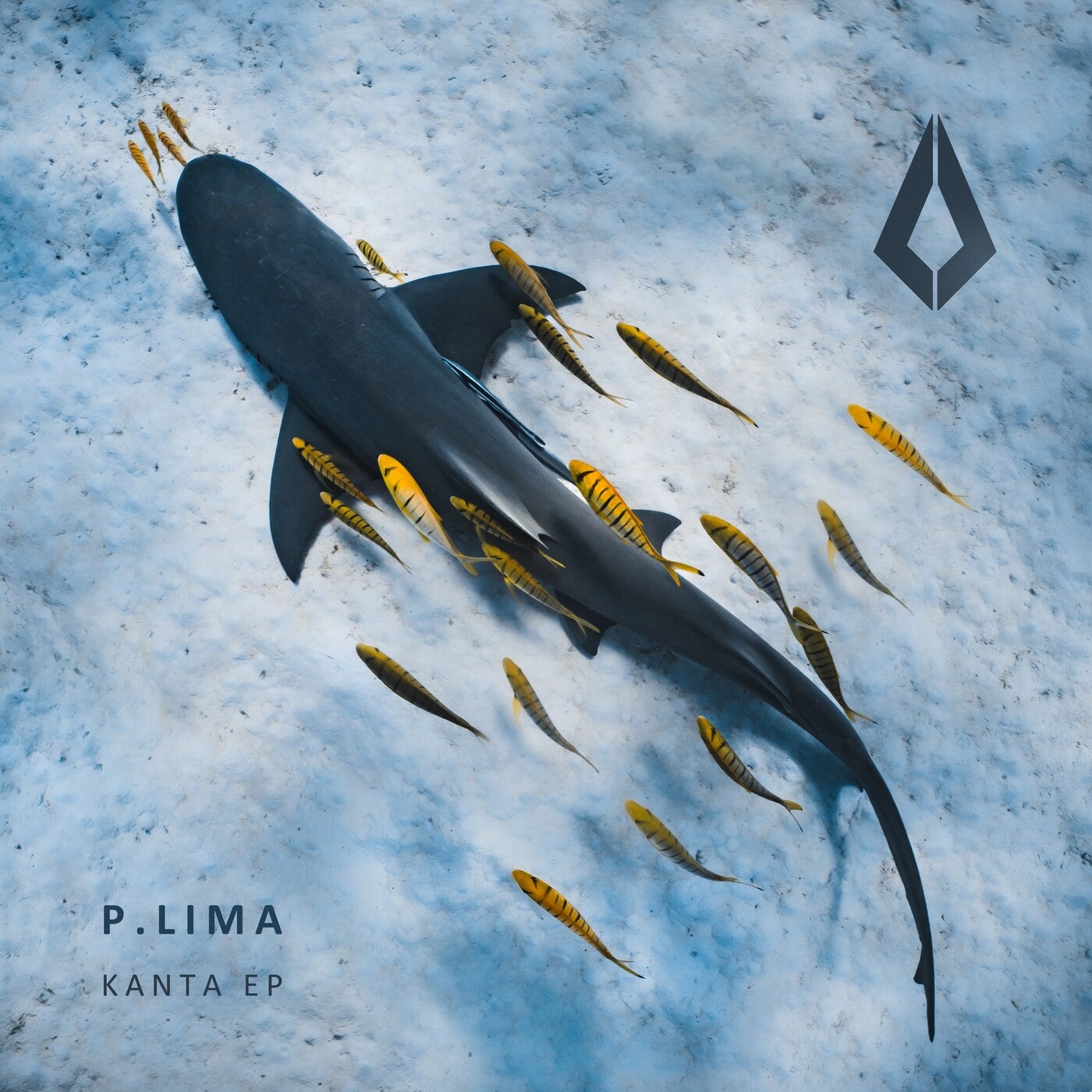 Cover - P.LIMA - Kanta (Extended Mix)