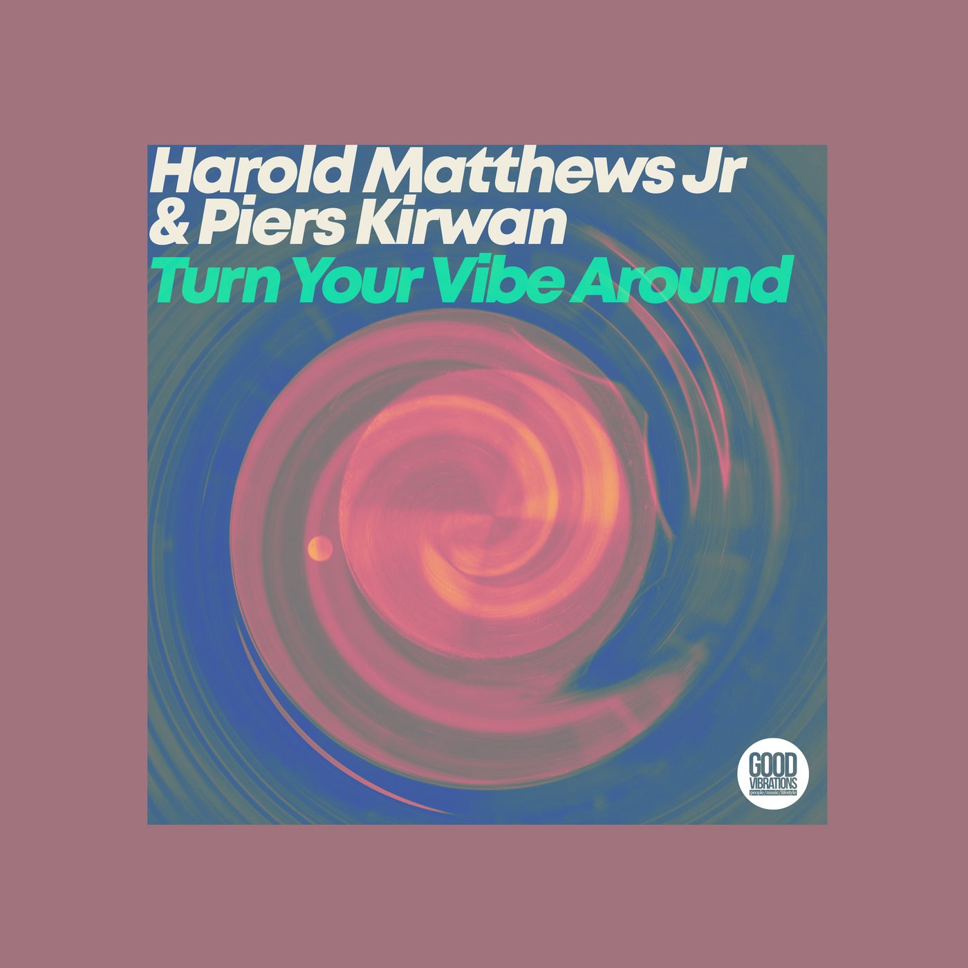 Cover - Piers Kirwan, Harold Matthews Jr - Turn Your Vibe Around (Piers Turned It Around Instrumental)