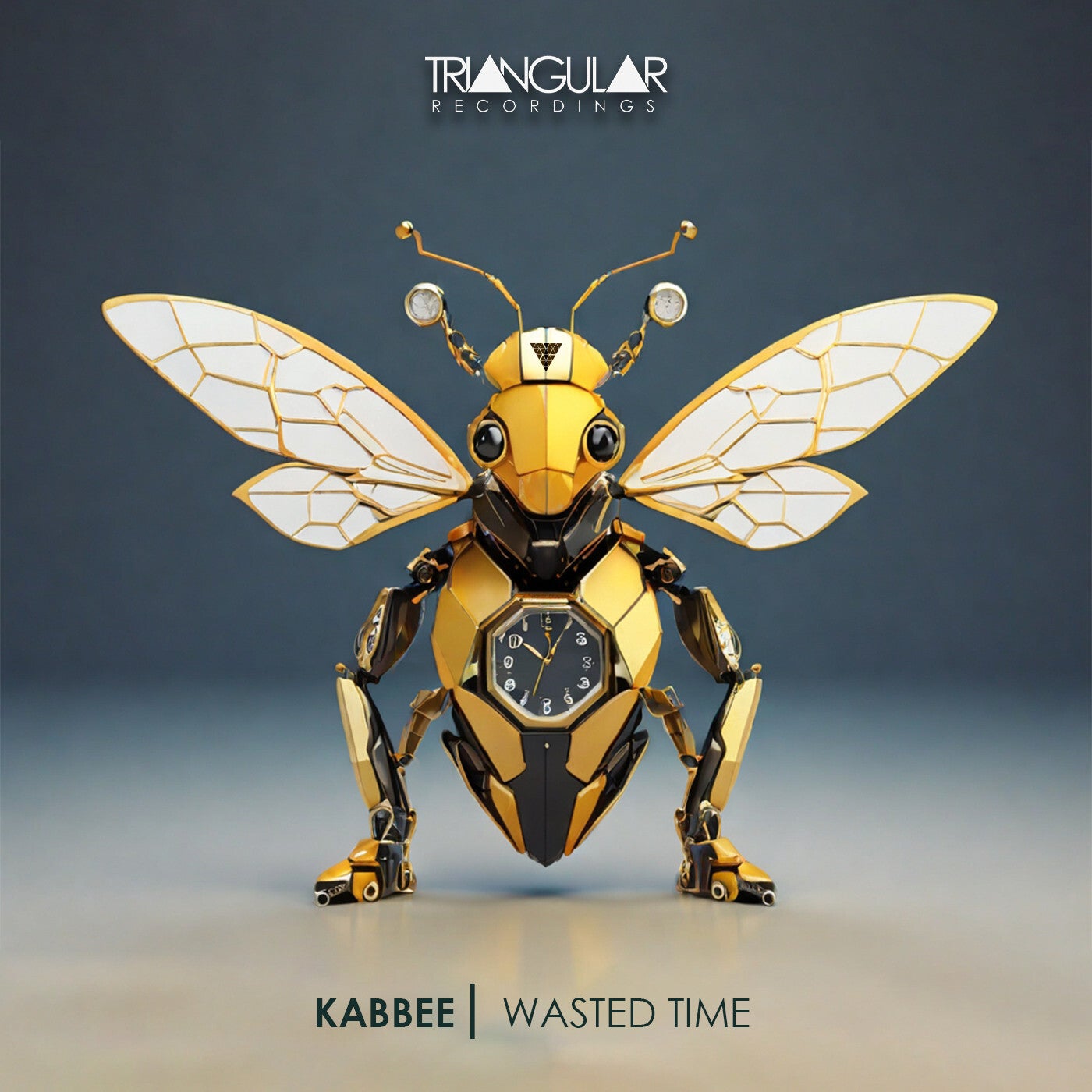 Cover - Kabbee - Wasted Time (Original Mix)