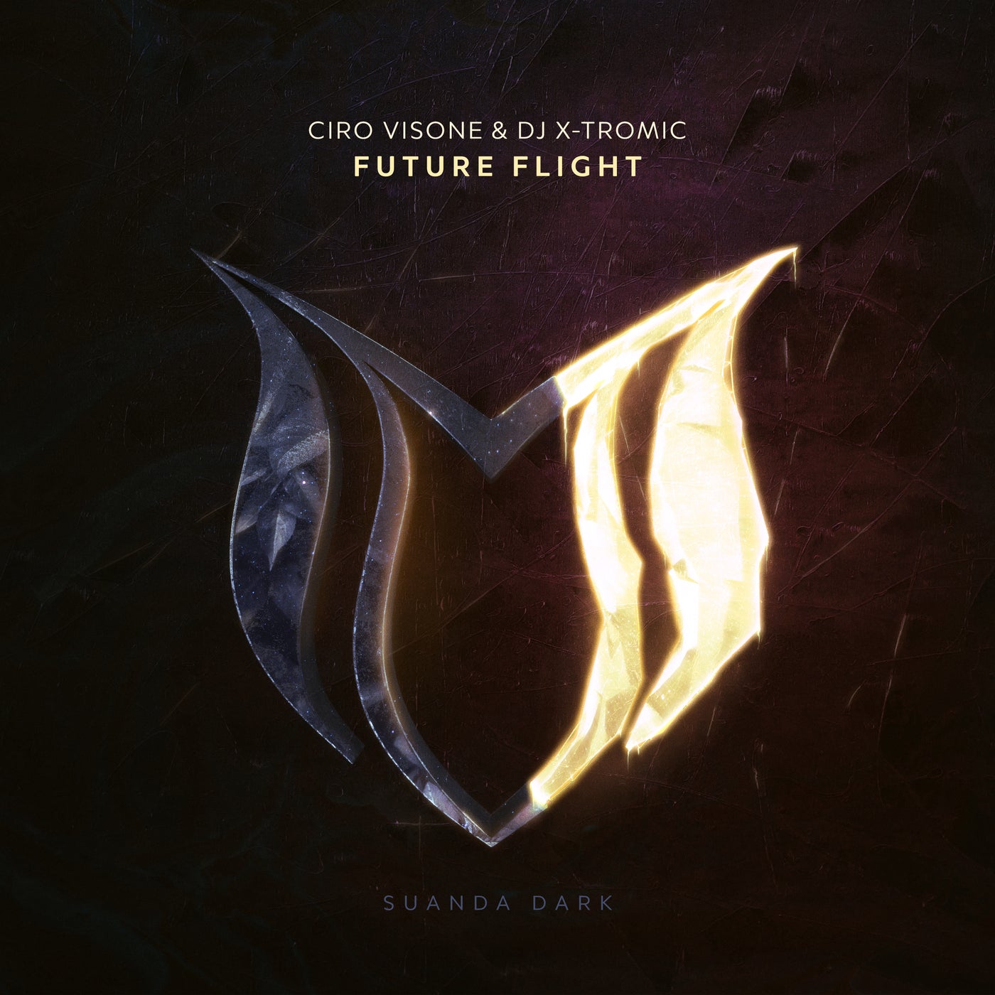 Cover - Ciro Visone, Dj X-Tromic - Future Flight (Extended Mix)