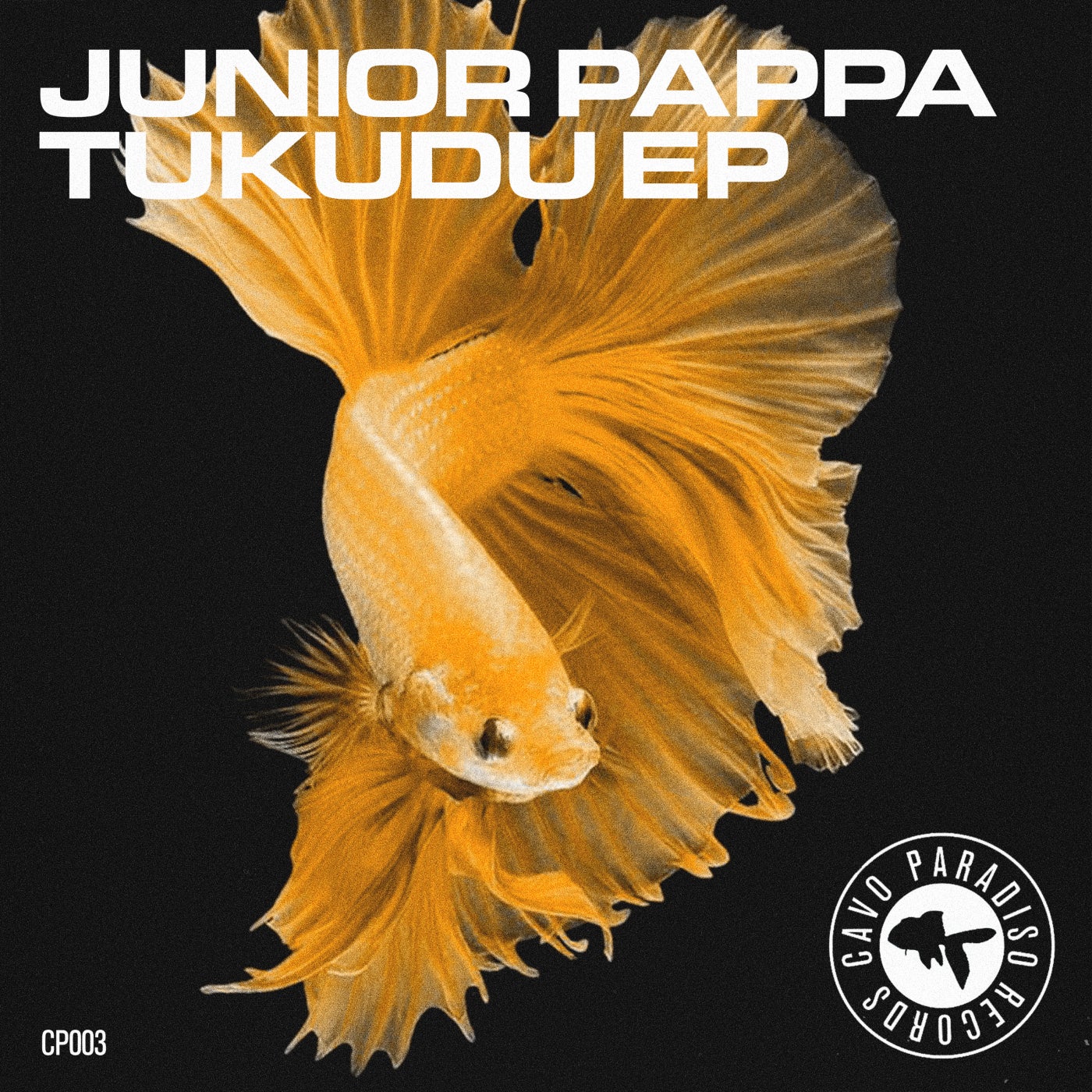 Cover - Junior Pappa - Kotta (Extended Mix)