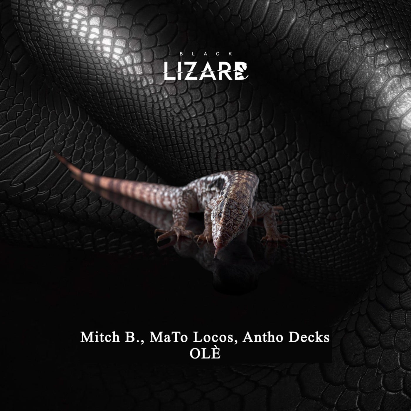 Cover - Antho Decks, Mato Locos, Mitch B. - Olè (Original Mix)