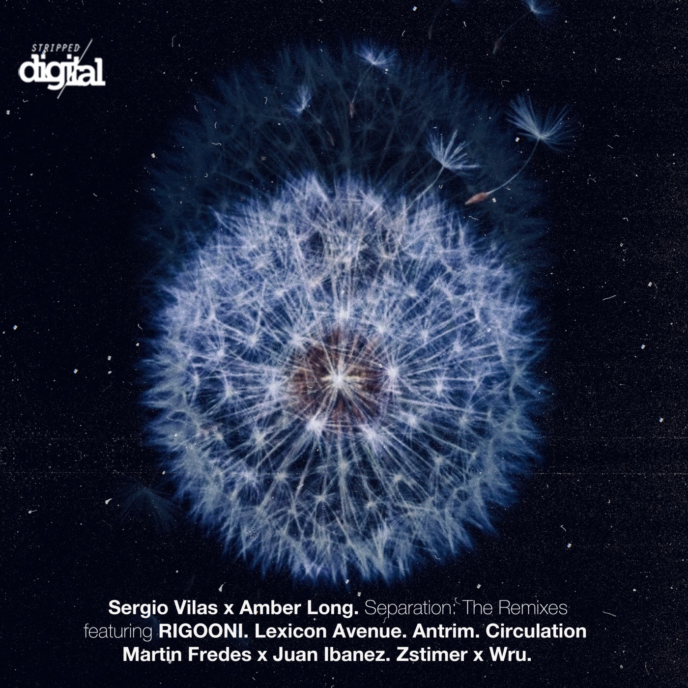 Cover - Amber Long, Sergio Vilas - Separation (RIGOONI Remix)