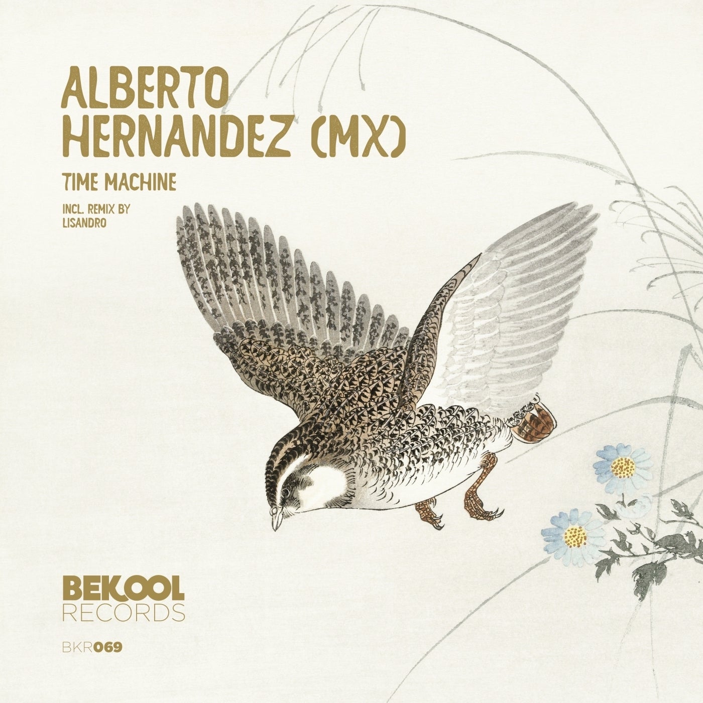Cover - Alberto Hernandez (MX) - Time Machine (Lisandro Remix)
