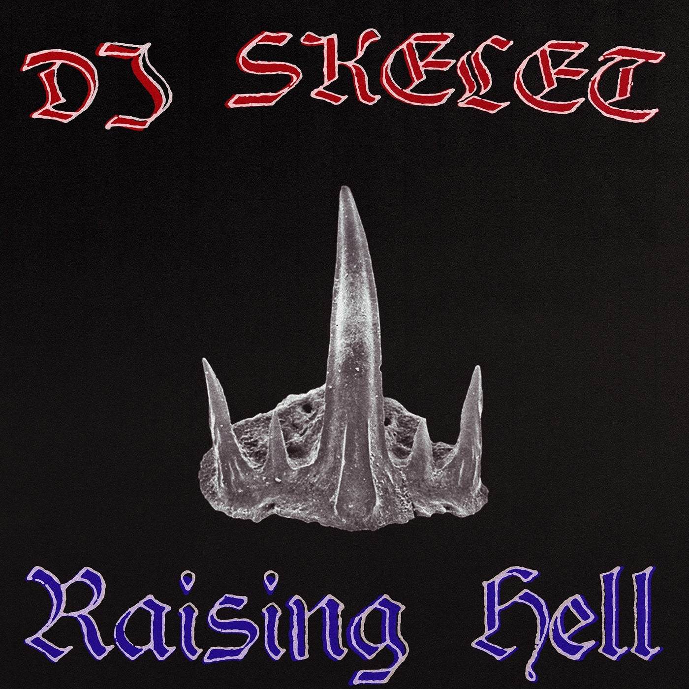 Cover - DJ Skelet - Raise Hell (Original Mix)