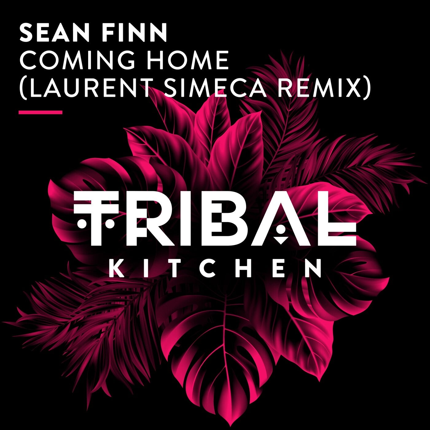 Cover - Sean Finn - Coming Home (Laurent Simeca Extended Remix)