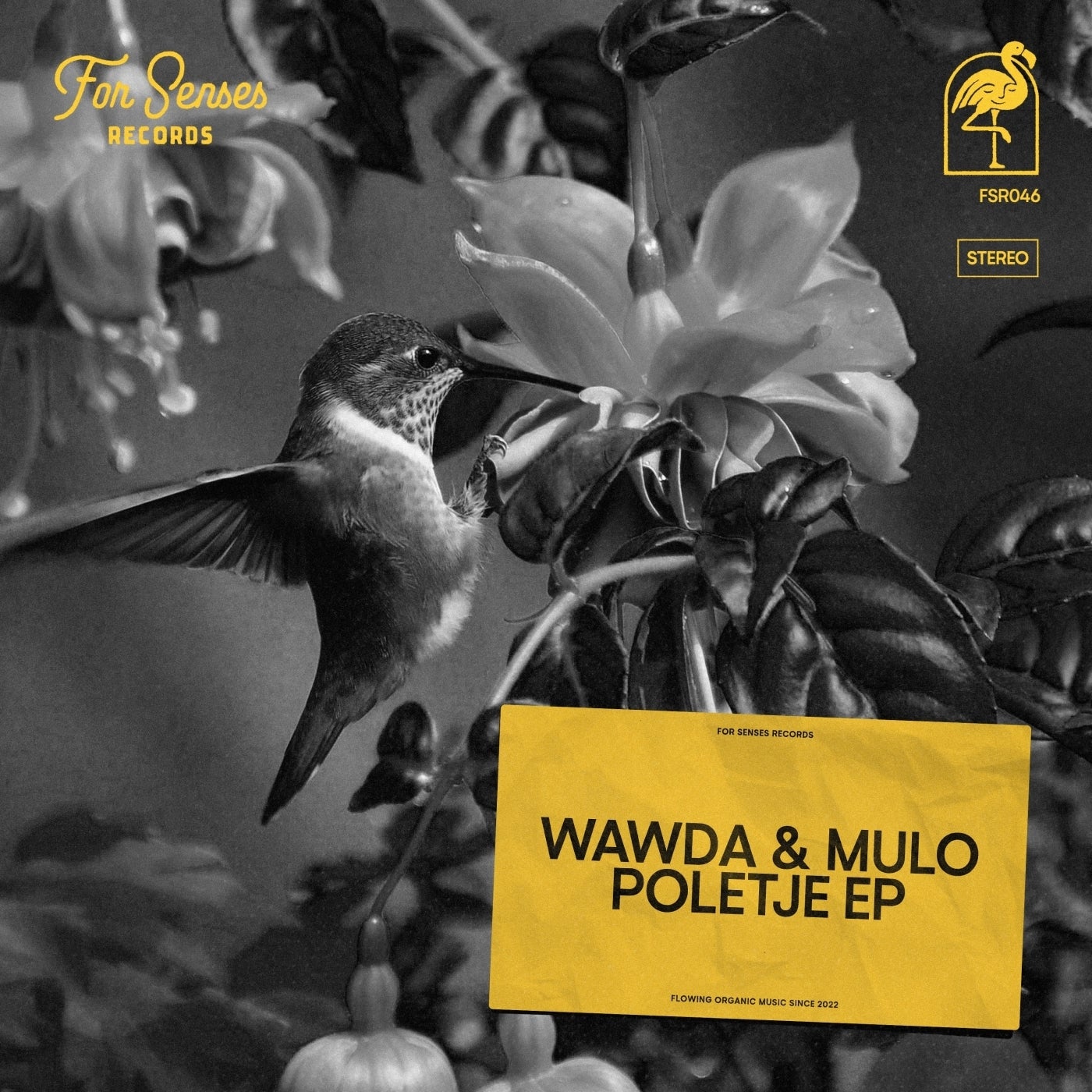 Cover - Wawda & Mulo - Viha (Original Mix)