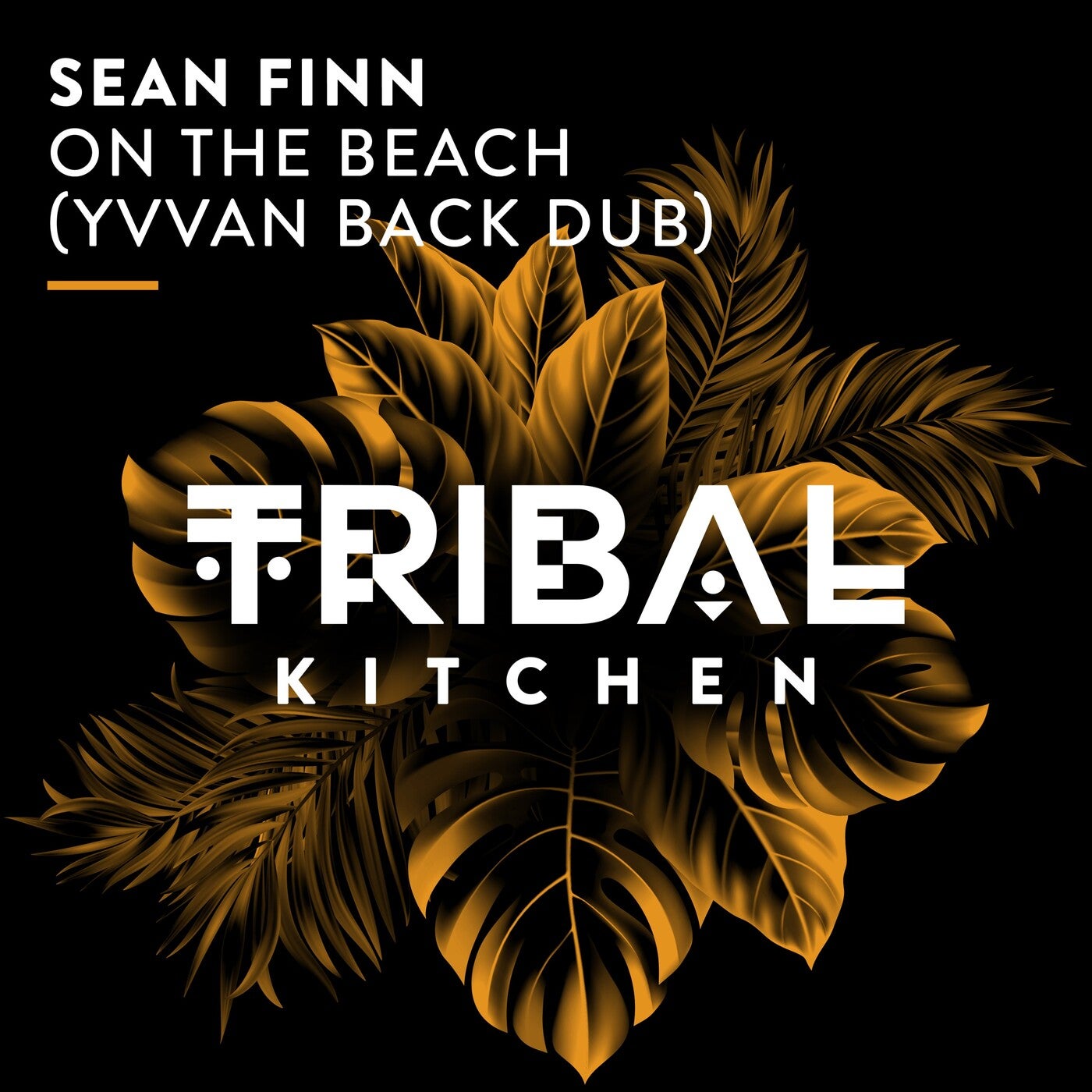 Cover - Sean Finn - On the Beach (Yvvan Back Extended Dub)