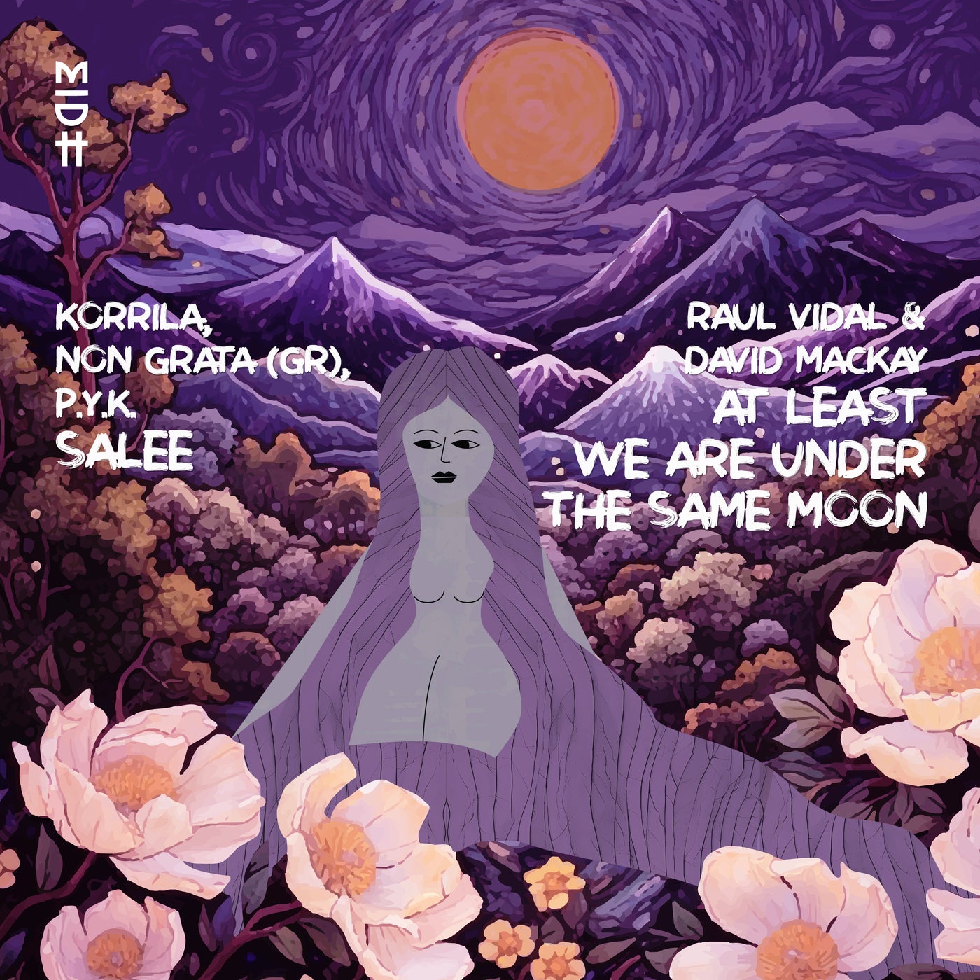 Cover - David Mackay, Raul Vidal - At Least We Are Under The Same Moon (Original Mix)