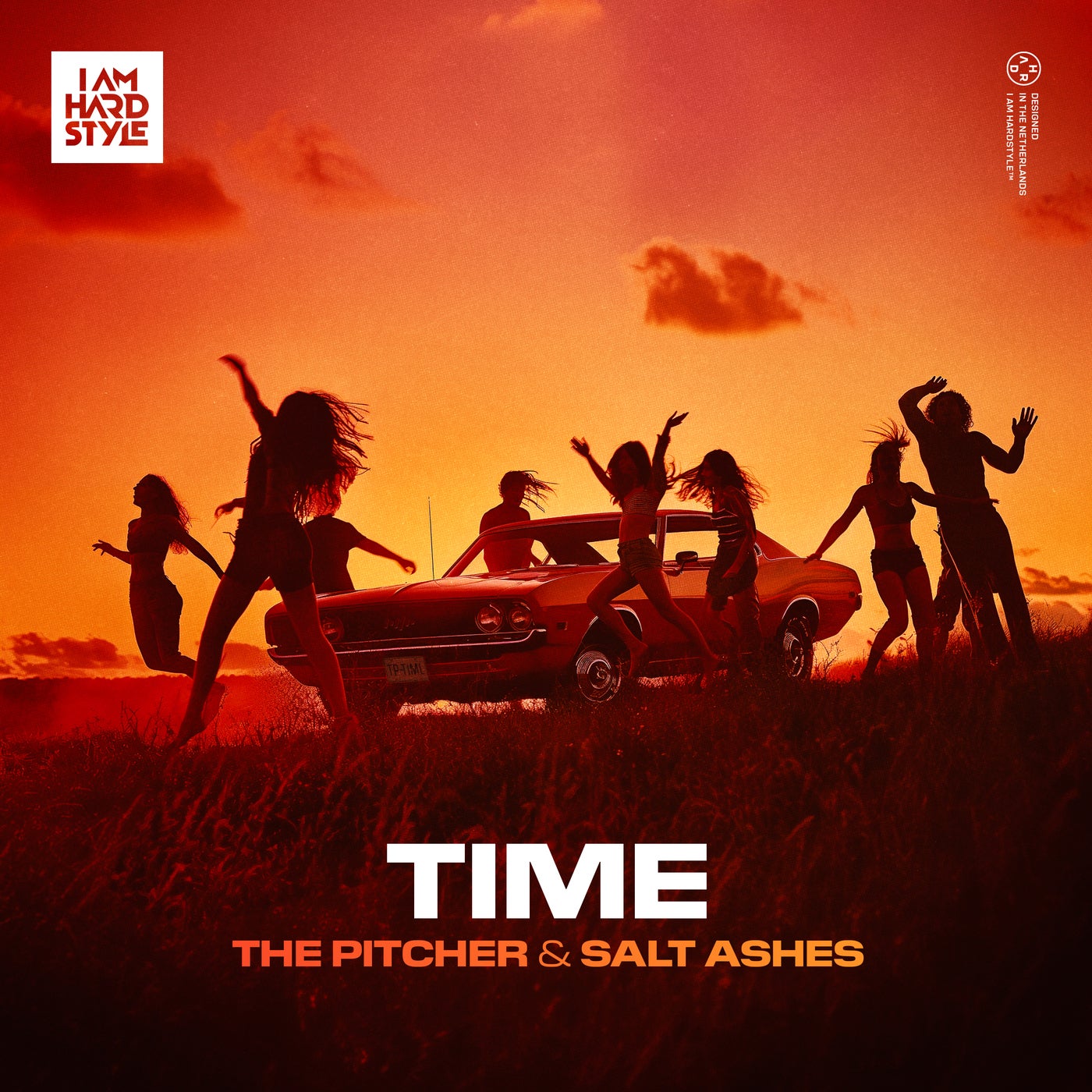 Cover - The Pitcher, Salt Ashes - Time (Extended Mix)