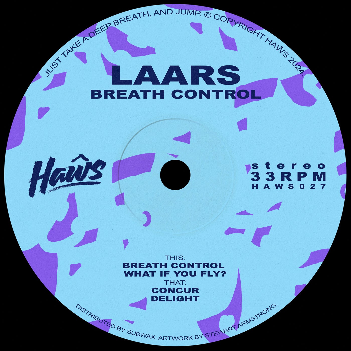 Cover - LAARS - What If You Fly? (Original Mix)