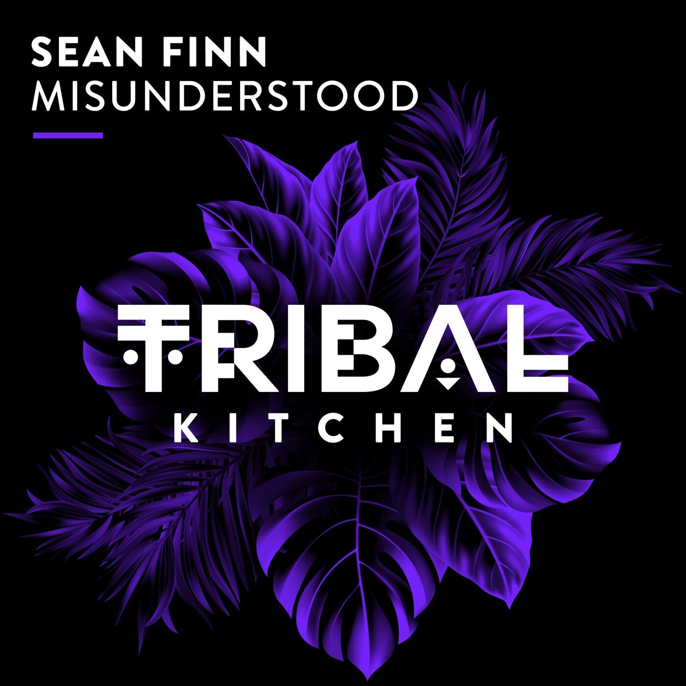 Cover - Sean Finn - Misunderstood (Extended Mix)