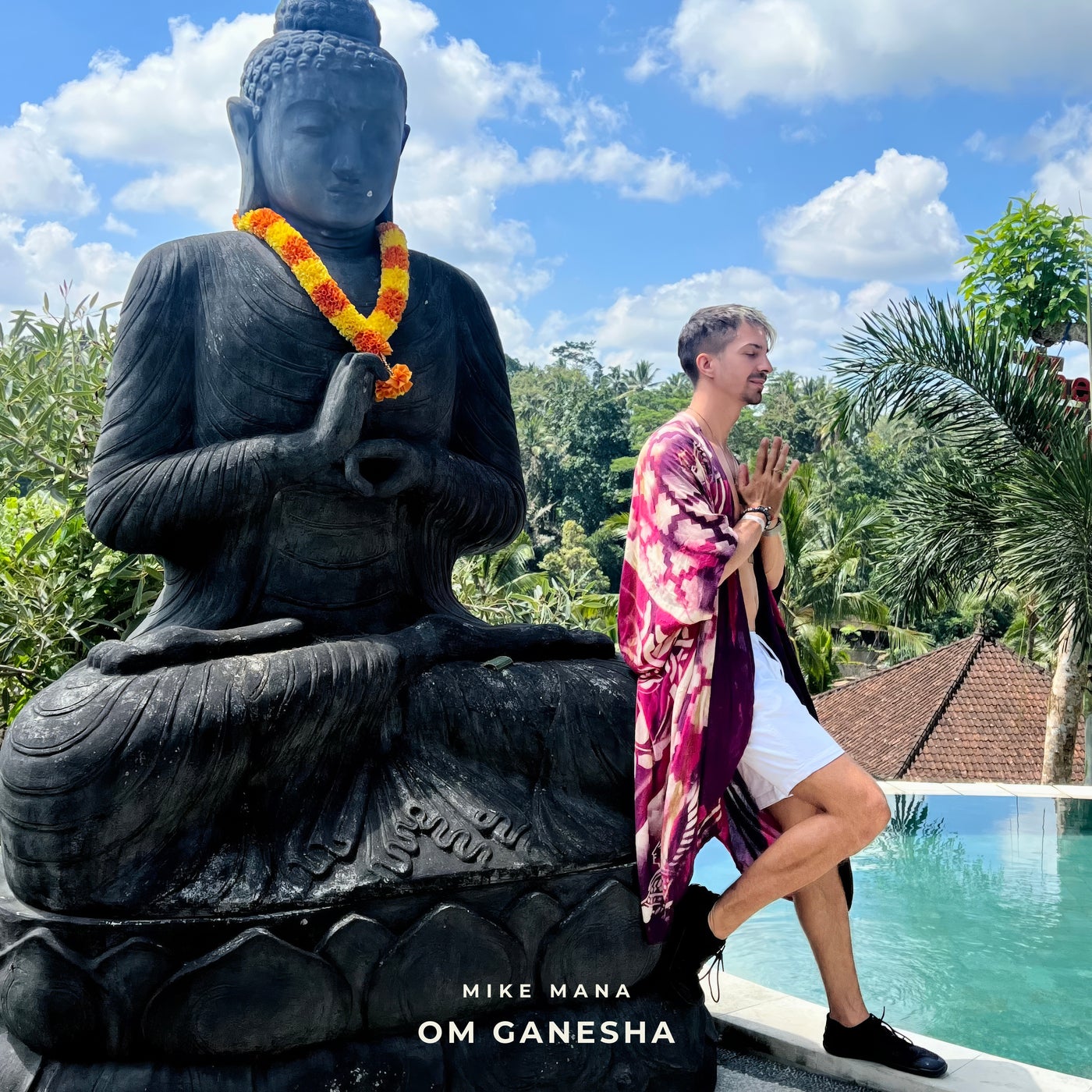 Cover - Mike Mana - Om Ganesha (Original Mix)