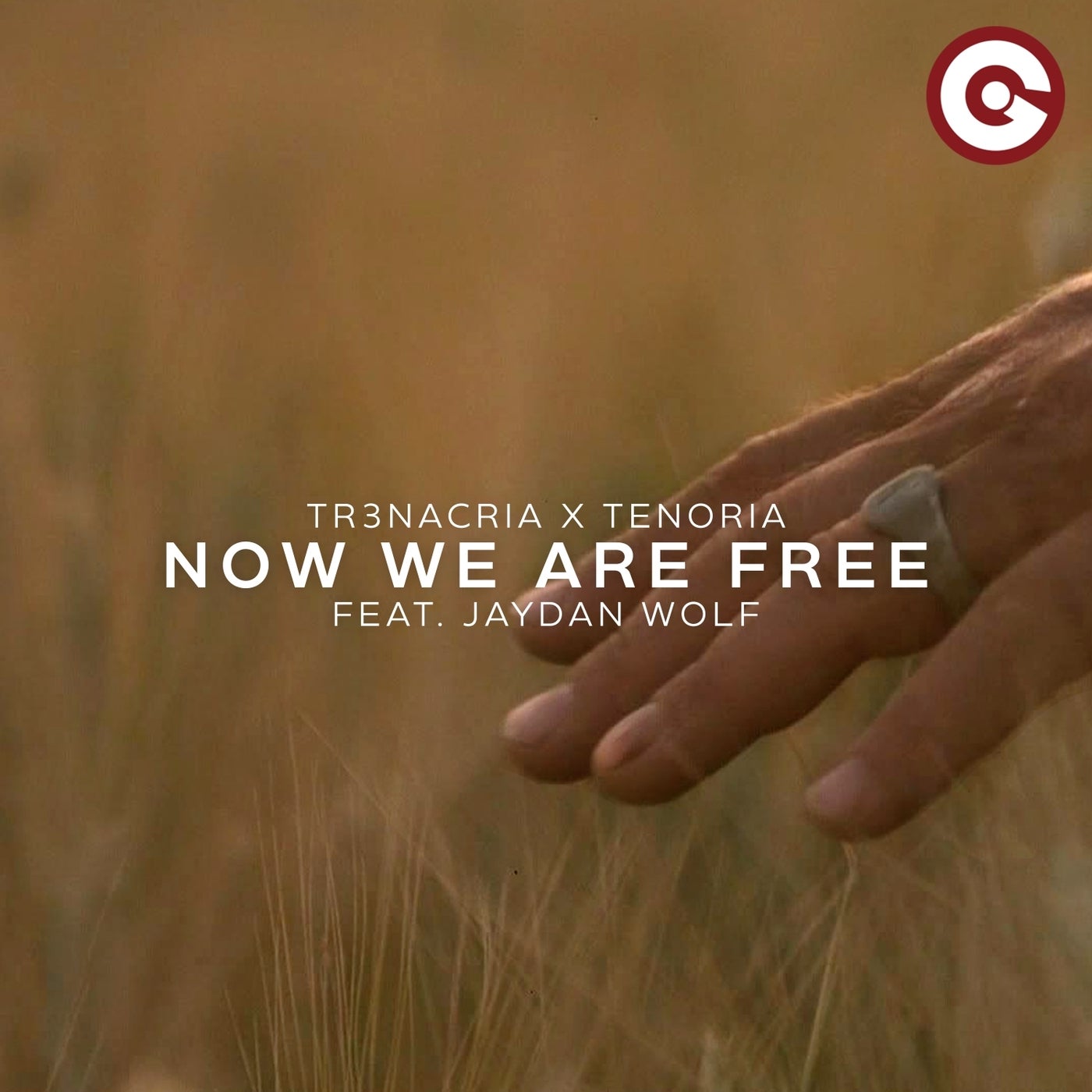 Cover - Jaydan Wolf, TR3NACRIA, Tenoria - Now We Are Free (feat. Jaydan Wolf) (Extended Mix)